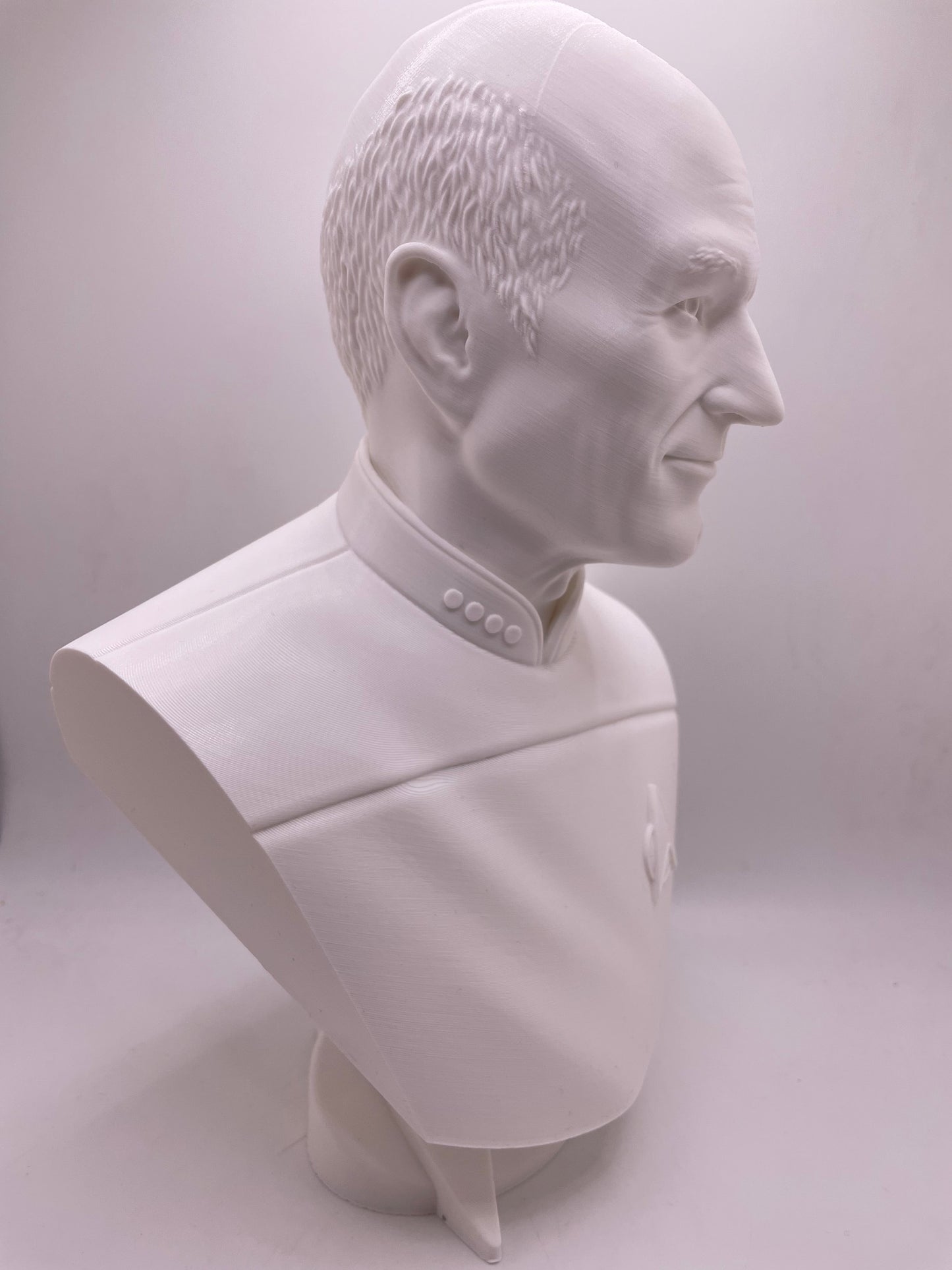 Captain Picard | Star Trek: The Next Generation | Fan Art | Sculpture | Statue