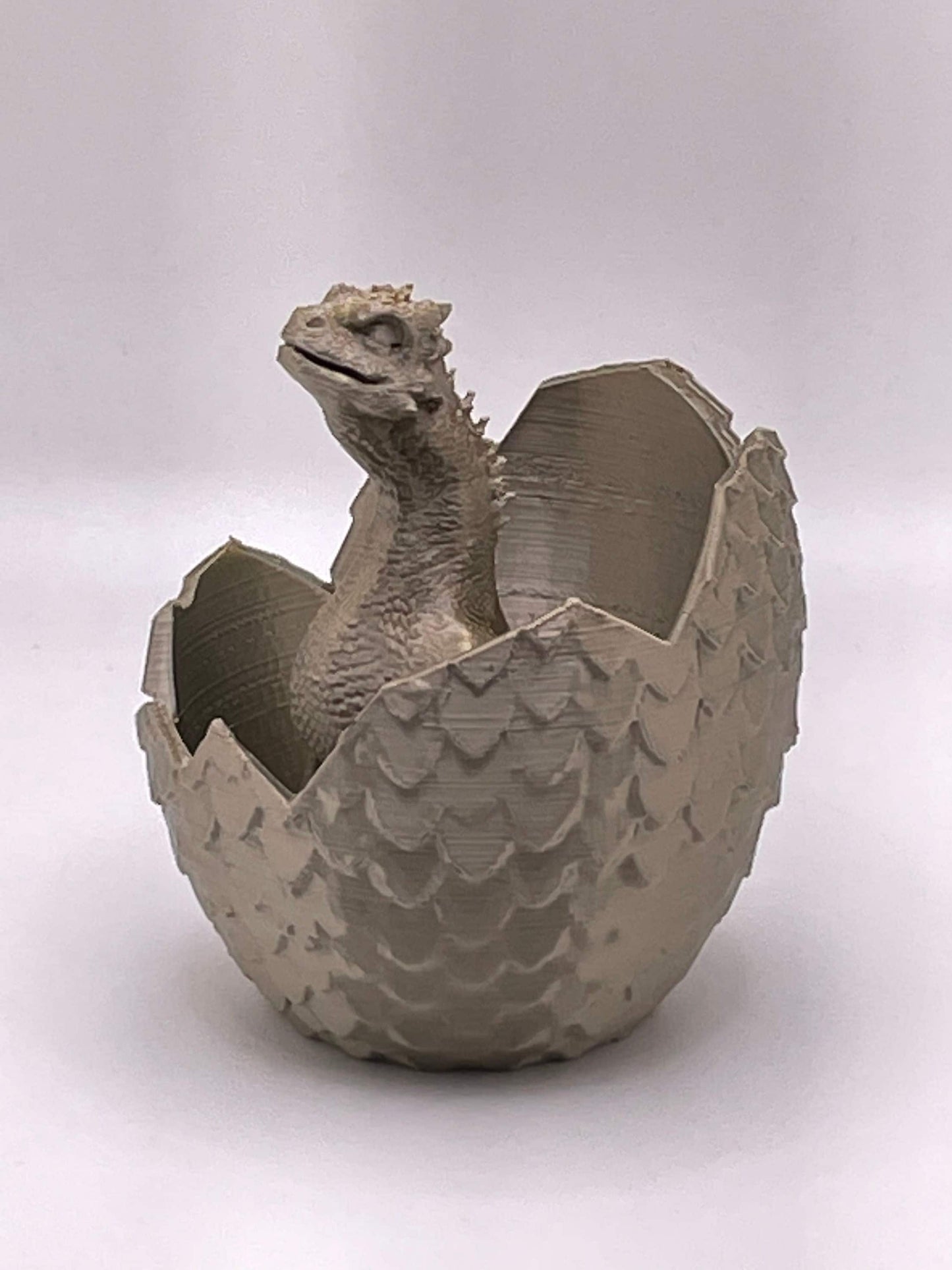 Dragon Hatchling