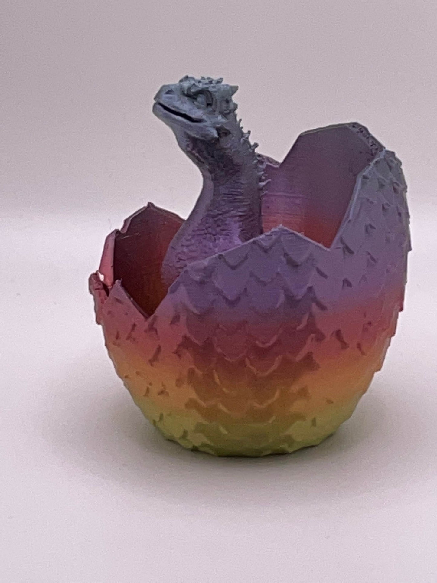 Dragon Hatchling