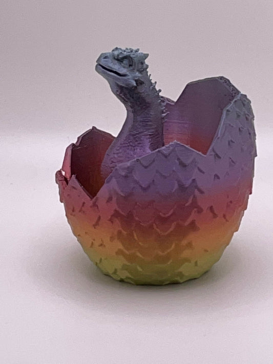 Dragon Hatchling