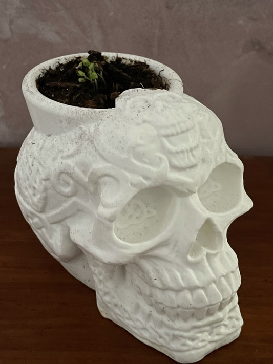 Celtic Skull Planter